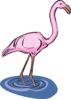 Flamingo Standing In Water Clip Art